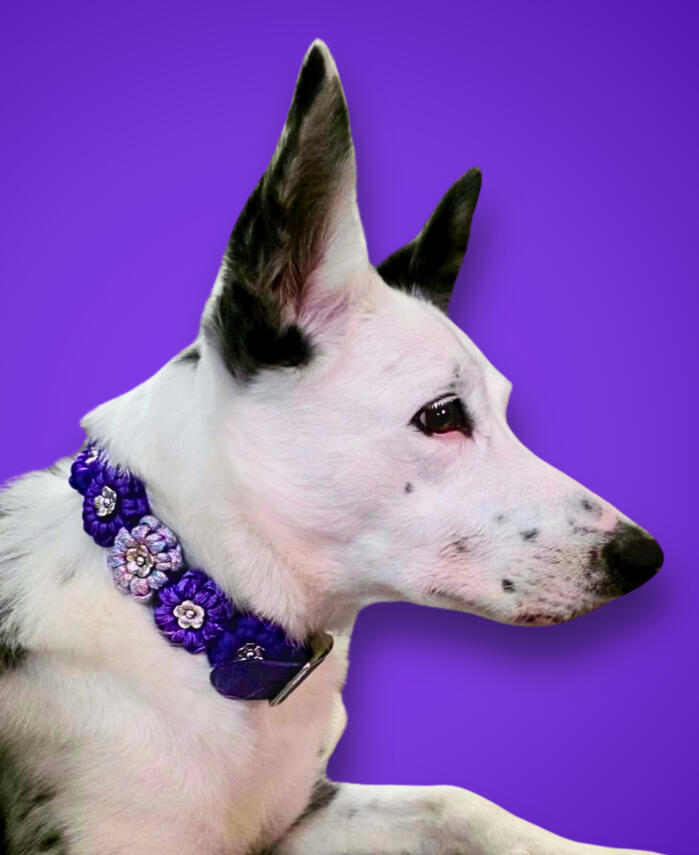 Zoey Girl
