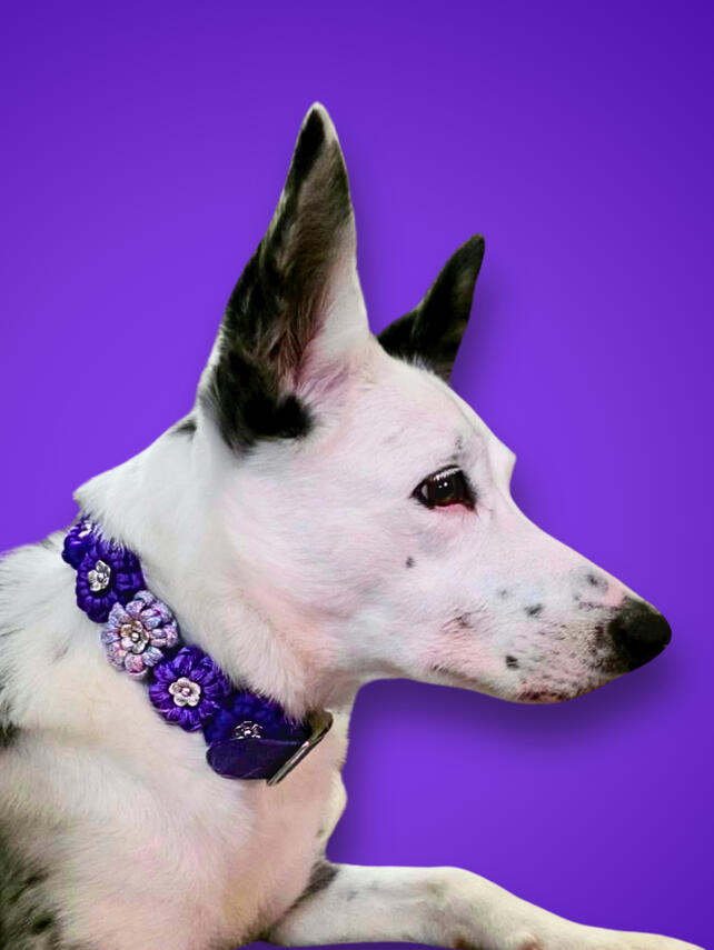Zoey