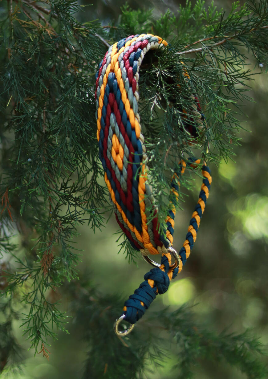 Foggy Forest Slip Collar