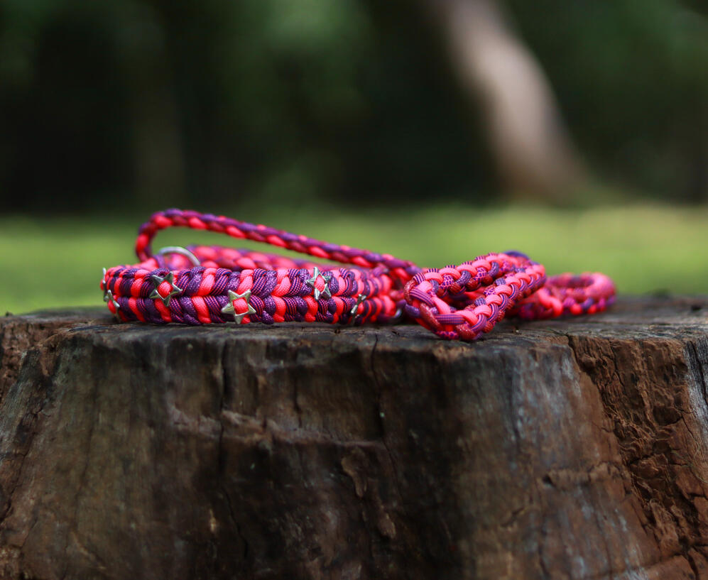 Pink Lady's Pledge Martingale