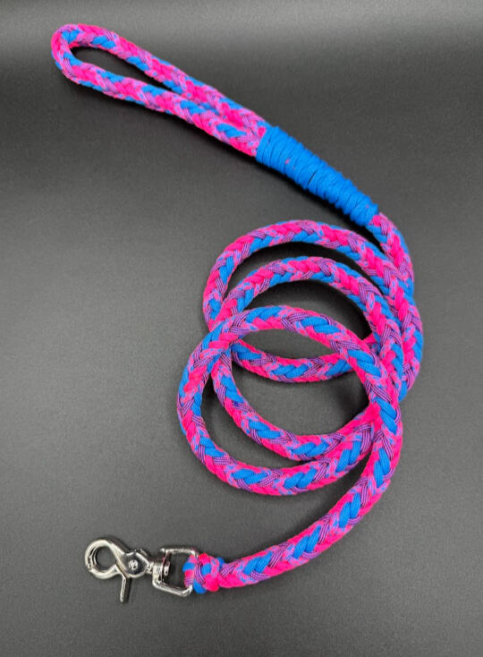 Retro Pop Leash